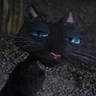 - - // - - :pacman1:'s avatar
