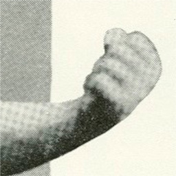 Timothy Kelty
