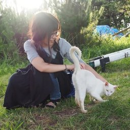 わみ🕊転職活動中