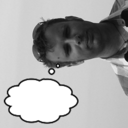 Wim van Iersel