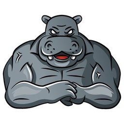 Hippo Web Development