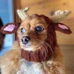 Kate Wilson Foy 😷🇦🇺𐃏