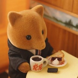 nice bear drinking from a mug